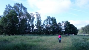 DSC05091