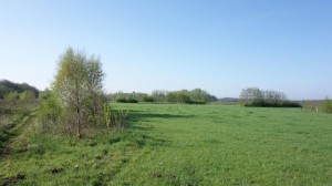 DSC05897